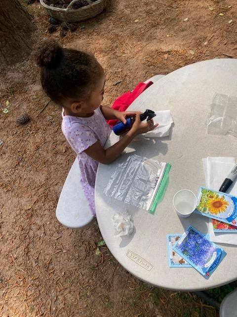 planting seeds in a bag